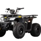 Tao Motor MudHawk 10 ATV