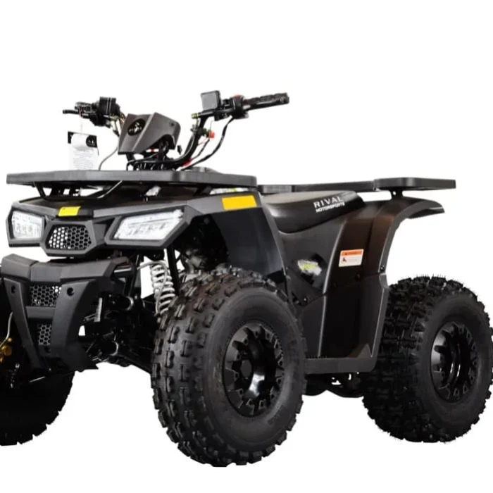 Tao Motor MudHawk 10 ATV