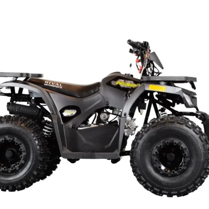 MudHawk-10-125cc-004-Rival-Mudhawk06.webp
