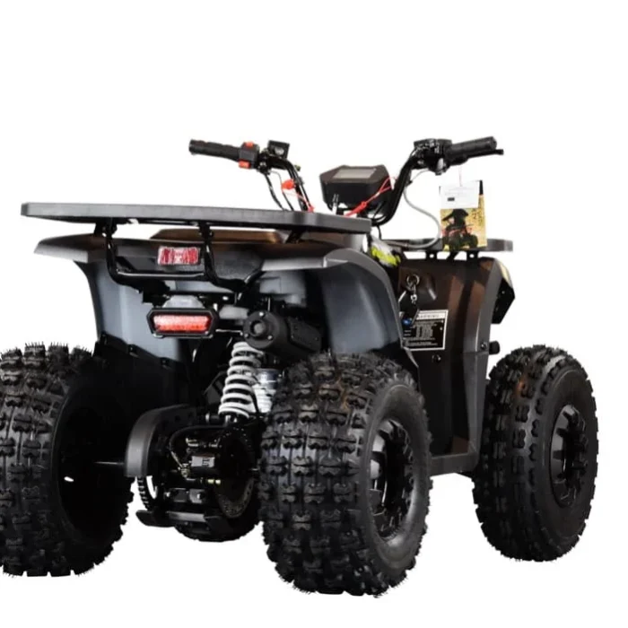 MudHawk-10-125cc-005-Rival-Mudhawk09.webp