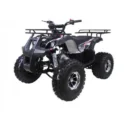 Tao Motor T-Force 125 ATV