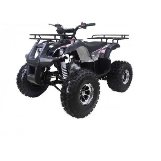 Tao Motor T-Force 125 ATV