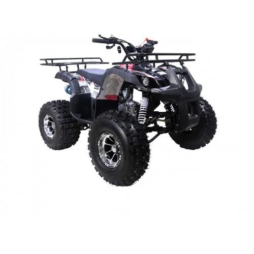 NEW-TFORCE-002-NewTFORCE_20Graffitti_20CamoFRS1200.900-500x500_1400x-1.webp NEW-TFORCE-002-NewTFORCE_20Graffitti_20CamoFRS1200.900-500x500_1400x-1.webp
