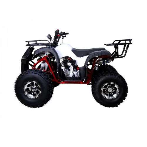 NEW-TFORCE-003-NewTFORCE_20WhiteLS1200.900-500x500_1400x-1.webp NEW-TFORCE-003-NewTFORCE_20WhiteLS1200.900-500x500_1400x-1.webp