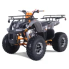 Tao Motor T-Force Platinum 125 ATV