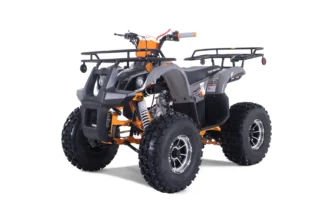 Tao Motor T-Force Platinum 125 ATV