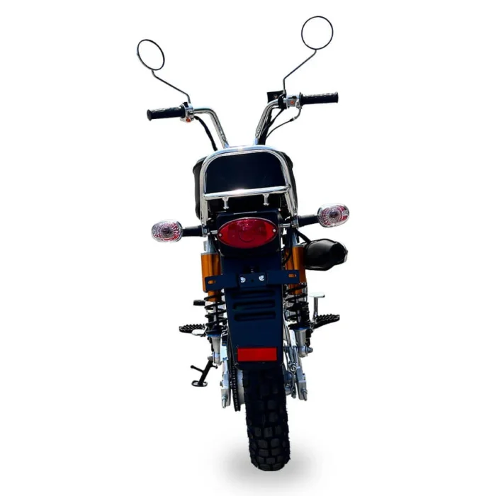PBZ125-2P-125cc-Motorcycle-004-4-6.webp