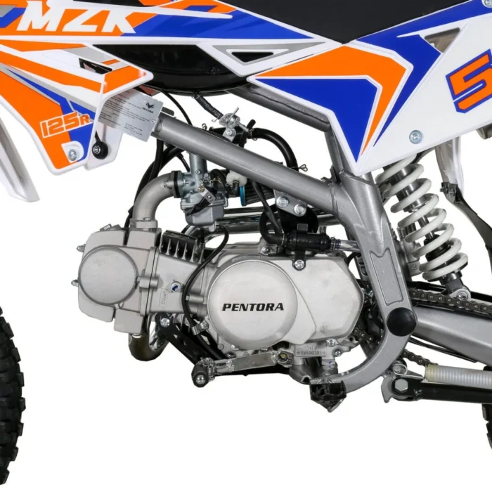 PENTORA-125-019-19-2.webp PENTORA-125-019-19-2.webp