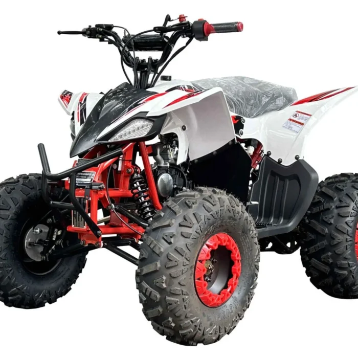 PIONEER-125CC-002-2-1.webp