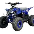 PIONEER-125CC-005-5-1.webp