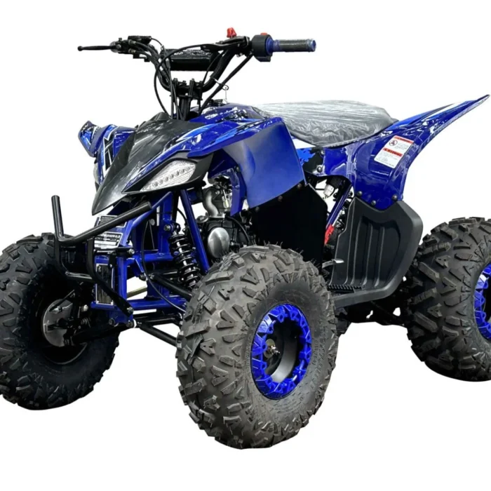 PIONEER-125CC-005-5-1.webp