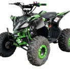 PIONEER-125CC-006-6-1.webp