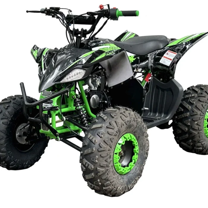 PIONEER-125CC-006-6-1.webp