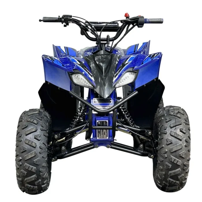 PIONEER-125CC-008-8-1.webp