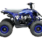 PIONEER-125CC-009-9-1.webp