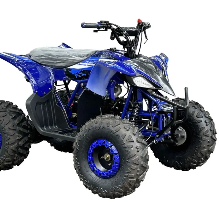 PIONEER-125CC-010-10-2.webp