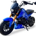 Icebear Fuerza 125cc PMZ125-1 motorcycle