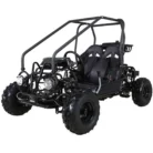 TaoTao GK110 110cc youth go-kart, SKU PPS-1258