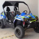 TrailMaster Challenger 300 EFI UTV, SKU PPS-1334