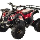 Vitacci Rider 8 125cc ATV, SKU PPS-1649