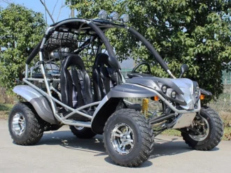 Dongfang DF200GKR 168.9cc go-kart, SKU PPS-1689