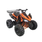 PPS-1780-002-COUGAR-JET-9-125CC-ASSEMBLED-3__47056.1570772089.webp