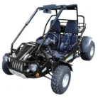 TrailMaster 300XRS go-kart, SKU PPS-2069