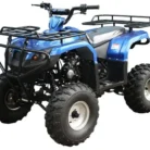 TaoTao ATA 125F1 107cc ATV, SKU PPS-2173