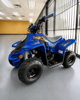 Tao Motor Rock 110s ATV