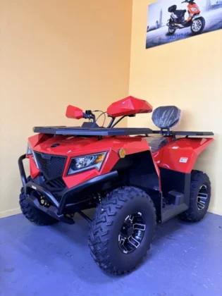 Vitacci CR 250 EFI