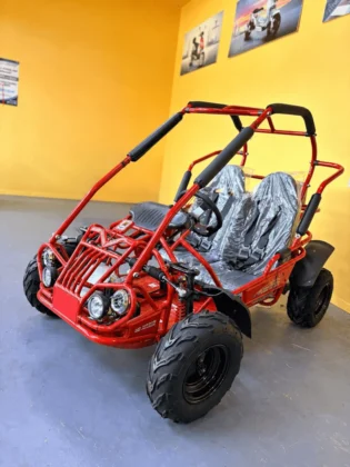 Trailmaster MID XRX/R