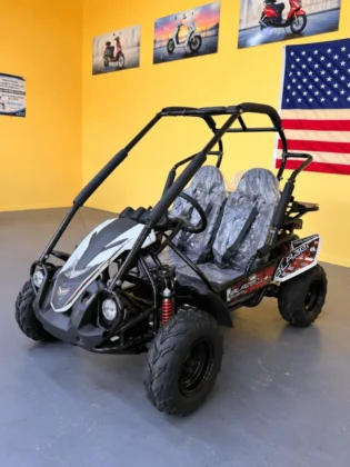Trailmaster Blazer 200R