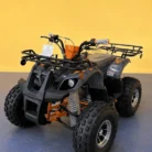 TaoMotor T-Force Platinum youth ATV