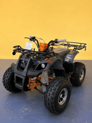 TaoMotor T-Force Platinum youth ATV