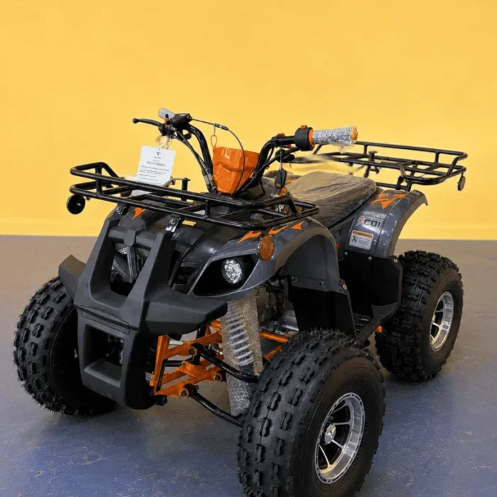 PPS-23012-001-3E879CBB-3CAB-4196-A3CC-AE8AB5A6B09E.webp TaoMotor T-Force Platinum youth ATV