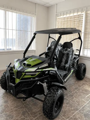 Trailmaster Cheetah 300