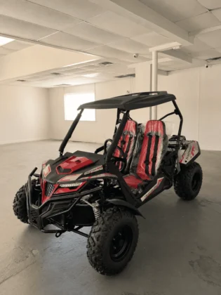 Trailmaster Cheetah 300