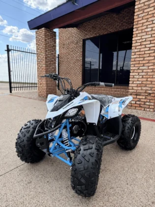 Trailmaster R125