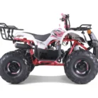 2022 Tao Motor T-Force 125 ATV