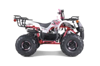 2022 Tao Motor T-Force 125 ATV