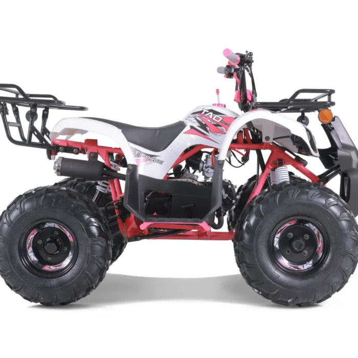 2022 Tao Motor T-Force 125 ATV