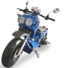 Icebear Gen I Maddog PMZ50-19 scooter