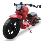 Icebear Gen V Maddog PMZ50-22 scooter