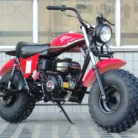 TrailMaster MB200-2 mini bike, SKU PPS-3375