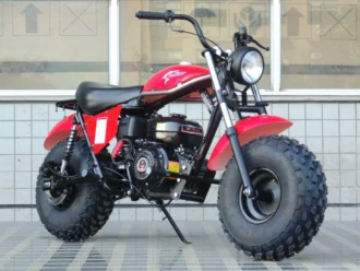 TrailMaster MB200-2 mini bike, SKU PPS-3375