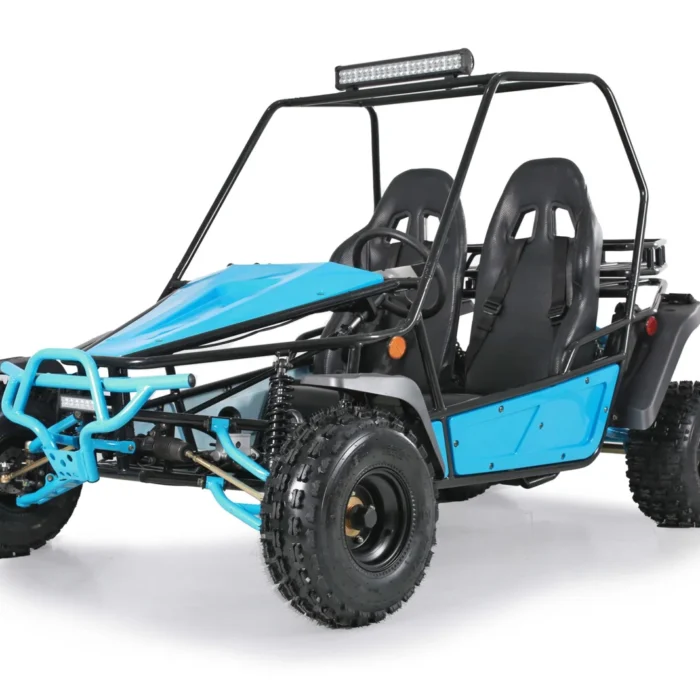 Tao Motor Baja Sport 200 off-road go-kart