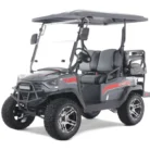 Tao Motor Champ 48V four-passenger electric golf cart