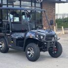 Vitacci Rover 300 EFI golf cart, SKU PPS-5416