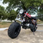 TrailMaster Hurricane 200X 196cc mini bike