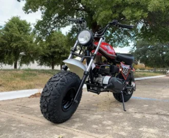 TrailMaster Hurricane 200X 196cc mini bike